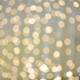 Illustration for article titled Shooting Challenge: Bokeh, Gallery 5
